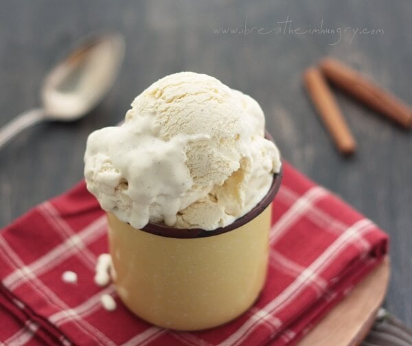 sugar free cinnamon ice cream recipe from mellissa sevigny