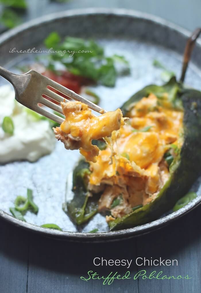 Forkful of chicken and cheese