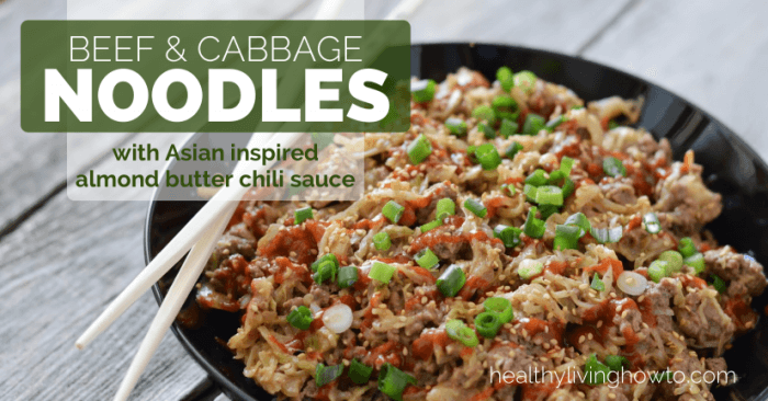 Low Carb Beef-Cabbage-Noodles