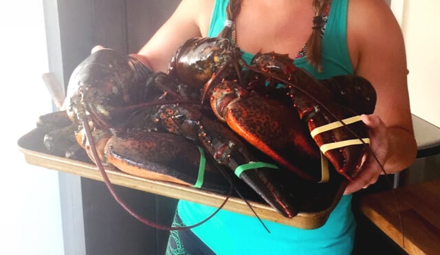 Low Carb Lobsters on the Grill by Mellissa Sevigny of I Breathe Im Hungry