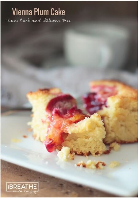 keto Vienna Plum Cake slice from the side.