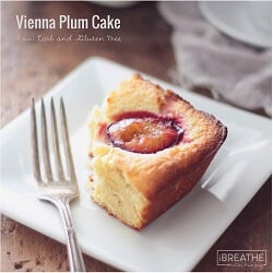 A low carb and gluten free Vienna Plum Cake recipe - sweet and dense vanilla almond cake with tangy, juicy plums baked into the top.