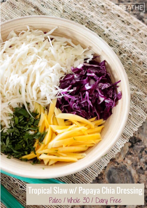 Loaded with vibrant colors and textures, this tropical slaw is healthy and delicious! Whole 30 and low calorie too!