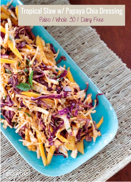 This fantastic tropical slaw recipe makes the perfect side dish to all of your grilled meats this summer! Vegan, Paleo, Whole 30