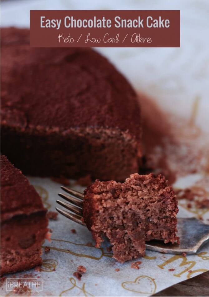 Make this Easy Keto Chocolate Snack Cake in the blender in just minutes! Low Carb and Gluten Free!
