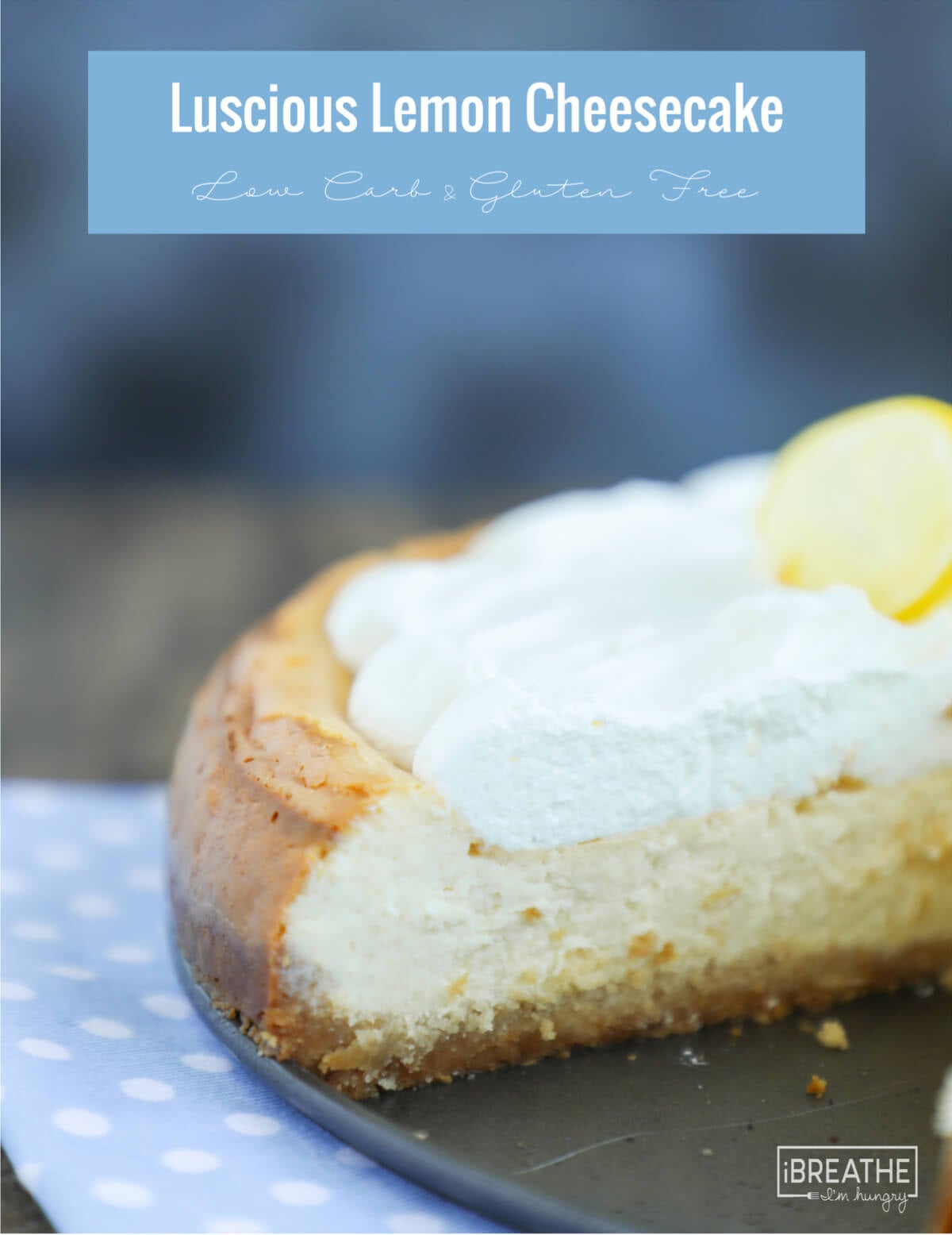blender cheesecake closeup