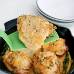 Perfect for busy weeknights, these keto dijon chicken thighs are made in one pan!
