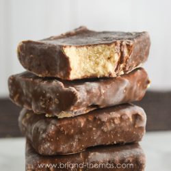 Keto chocolate covered peanut butter ice cream bars