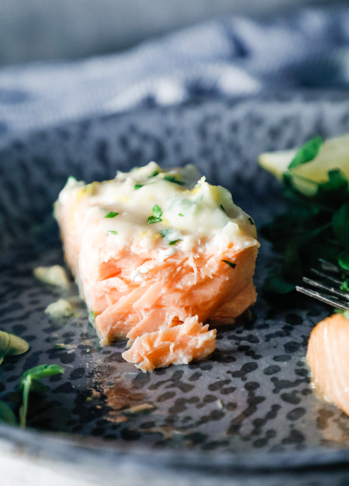 Cross section of a cooked salmon fillet